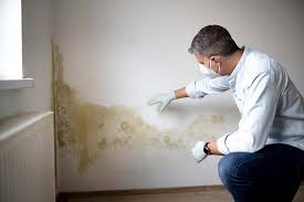 Best Mold Remediation for Healthcare Facilities  in East Freehold, NJ